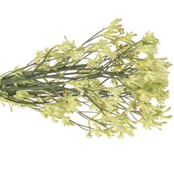 Kangeroo grün Nat.60cm