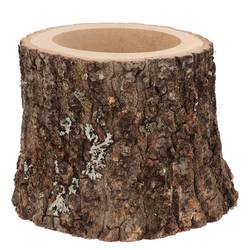 Eiche Übertopf D16/19cm H15cm