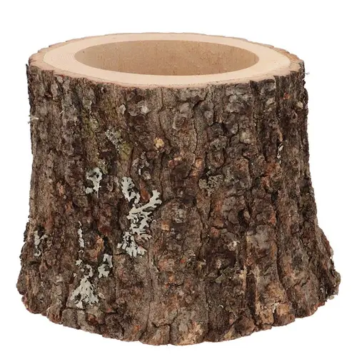 Eiche Übertopf D16/19cm H15cm