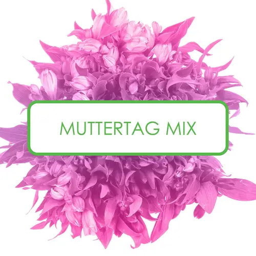 Alstroemerie 3x10 Muttertag Angebot 2024