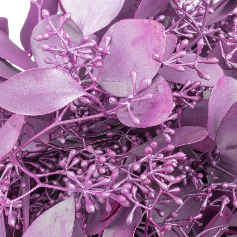 Populus fuchsia metallic Frucht gefärbt 300 Gramm 65cm