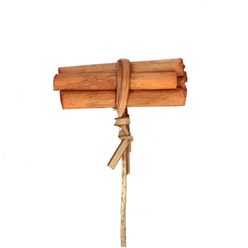 Zimtstangen auf Stab 50cm
