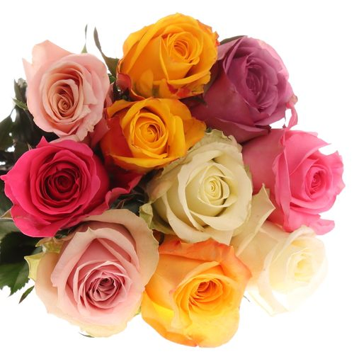 Rose mix Roos 50cm