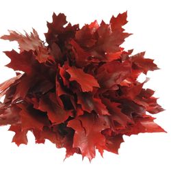 Eichenlaub rot gefärbt 80cm