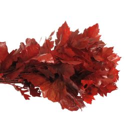 Eichenlaub rot gefärbt 80cm