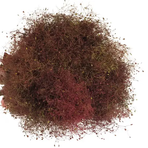 Perucken Red Fountan 40cm