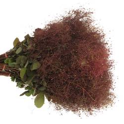 Perucken Red Fountan 40cm