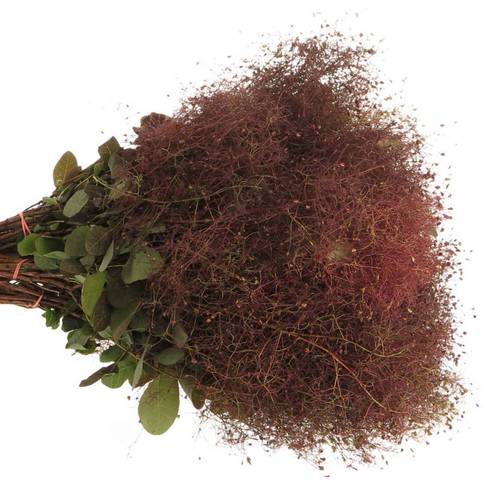 Perucken Red Fountan 40cm