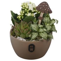 Kal.Arr PTHI3246 Herbst T14 H018