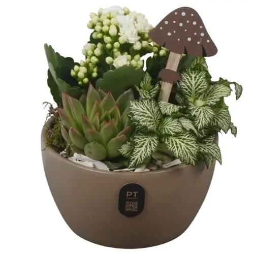 Kal.Arr PTHI3246 Herbst T14 H018