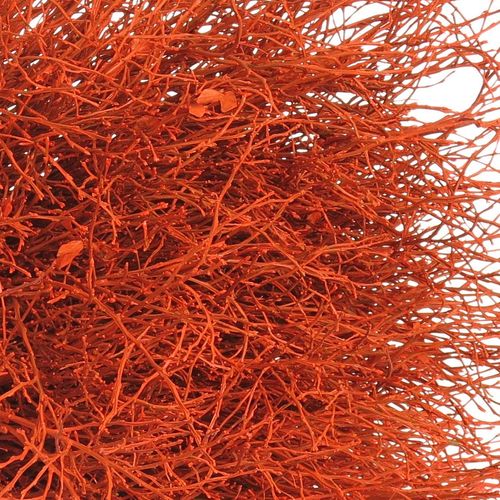 Heidelbeere orange gefärbt