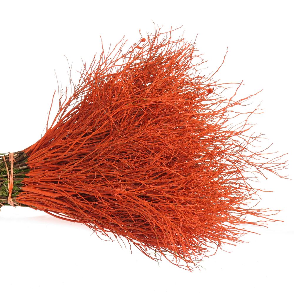 Heidelbeere orange gefärbt