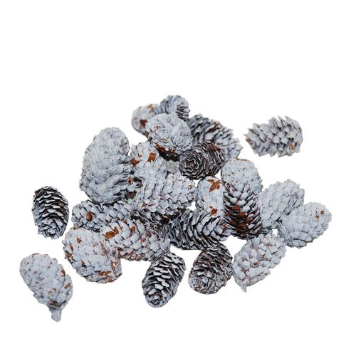 Zapfen Spruce mini 4-5cm 180g