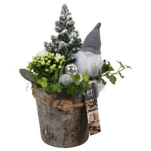 Kal.Arr PTCHW4326 Weihnachten T15 H033