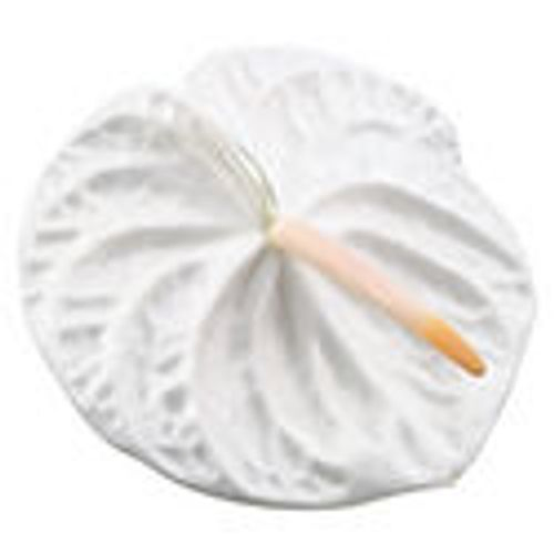 Anthurium weiss Acropolis Blüte 11cm