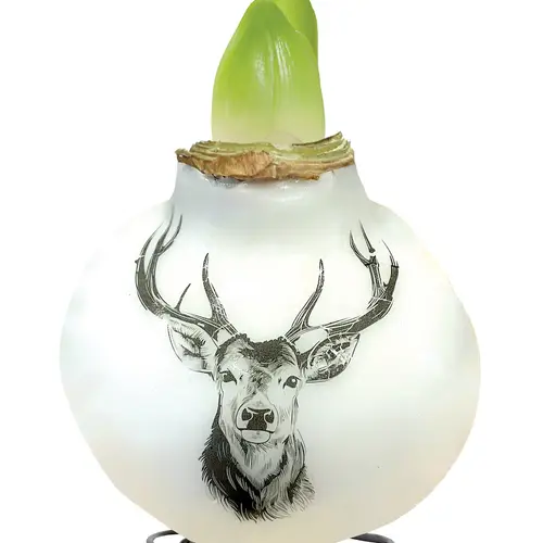 Amar.Bol Wachs Rentier rote Bl. 30cm H022