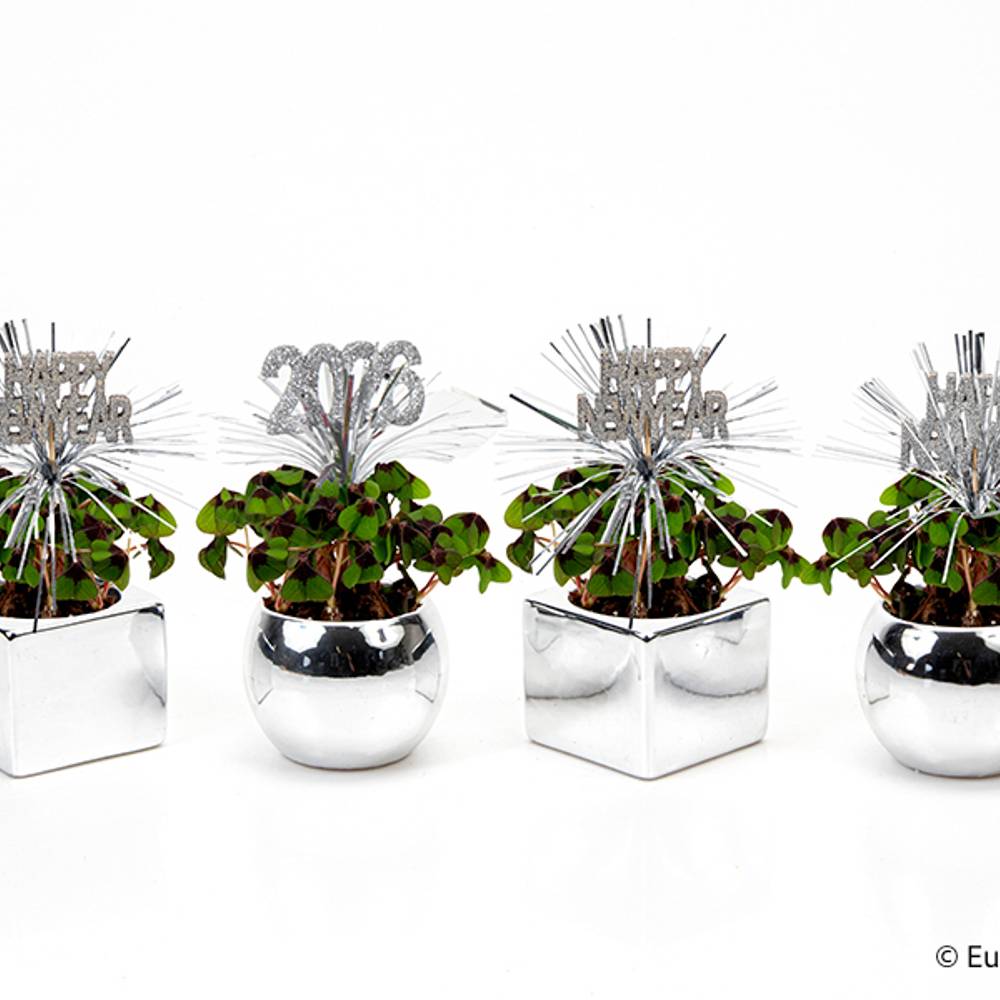 Oxalis E3605 silber Jahreszeichen T06 H015