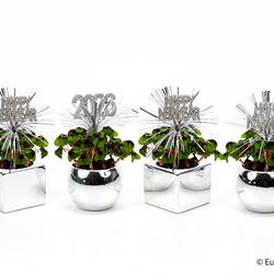 Oxalis E3605 silber Jahreszeichen T06 H015