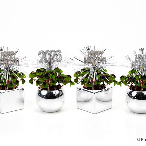 Oxalis E3605 silber Jahreszeichen T06 H015