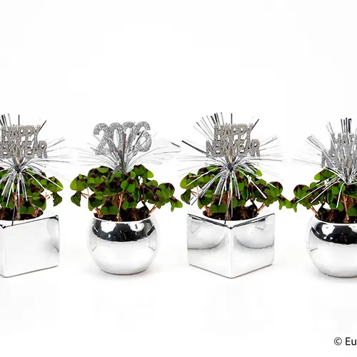 Oxalis E3605 silber Jahreszeichen T06 H015