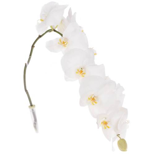 Phalaenopsis weiss Sensation 45 Blüte 3 Stiele 80cm 