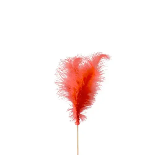 Federn auf Stab rot L50cm
