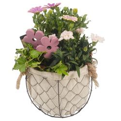 Garten Arr3863 T20 H28