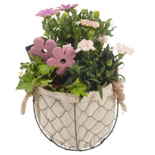 Garten Arr3863 T20 H28