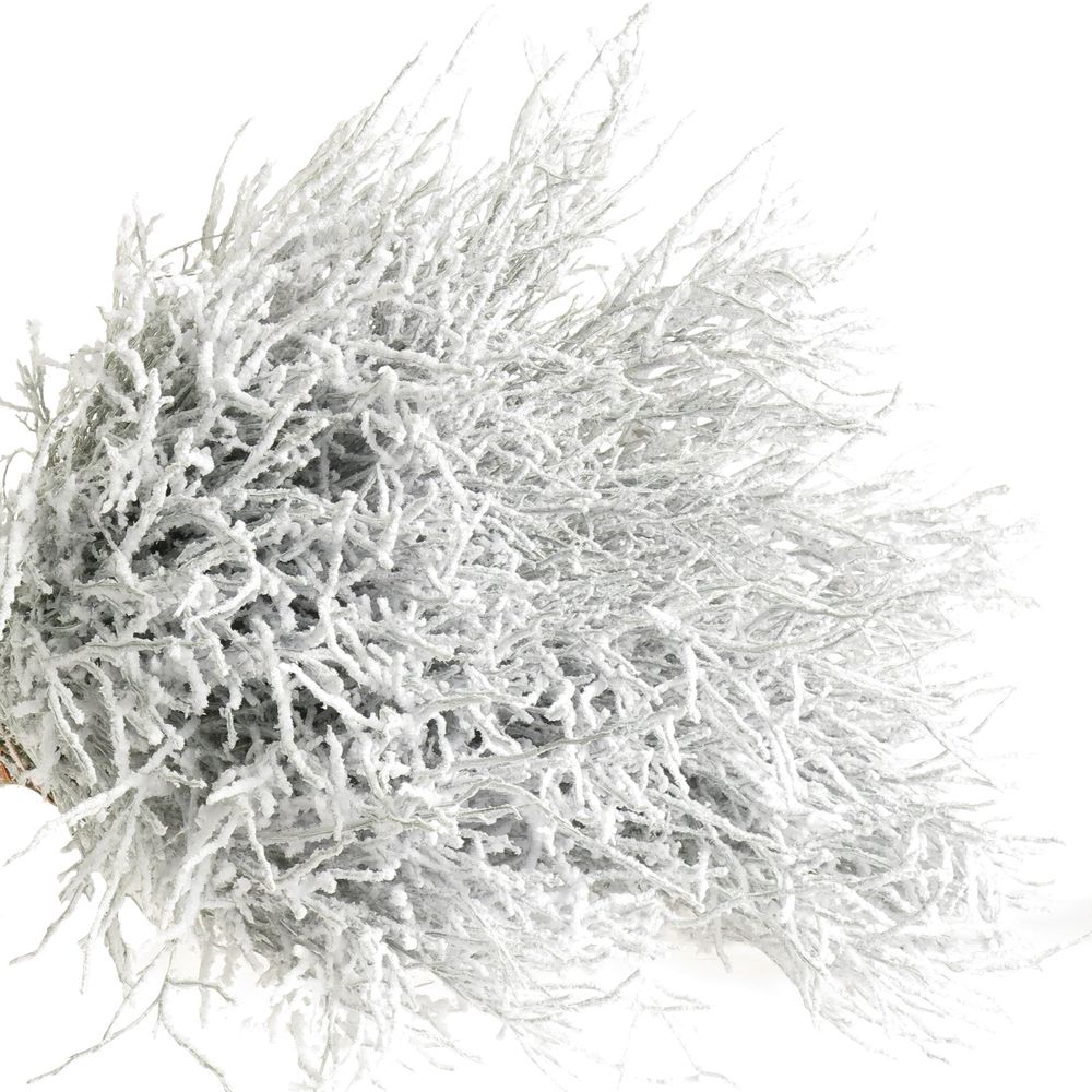 Heidelbeere weiss Puder