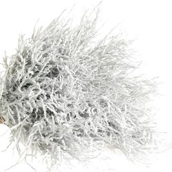 Heidelbeere weiss Puder