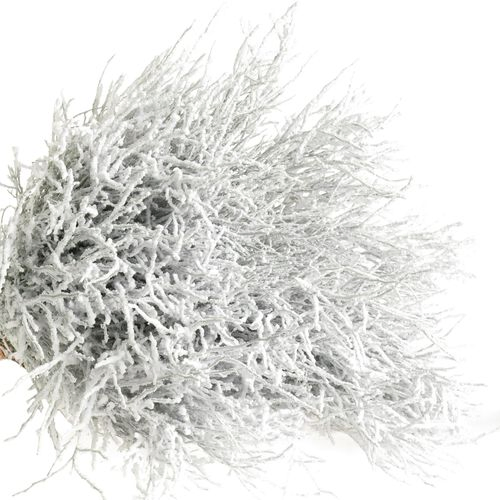 Heidelbeere weiss Puder