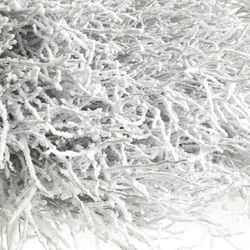 Heidelbeere weiss Puder
