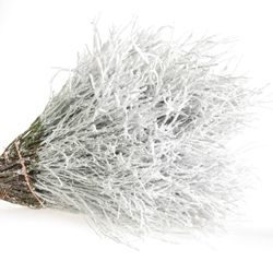 Heidelbeere weiss Puder