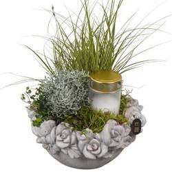 Garten.Arr PTAH3039 Allerheiligen T22 H035