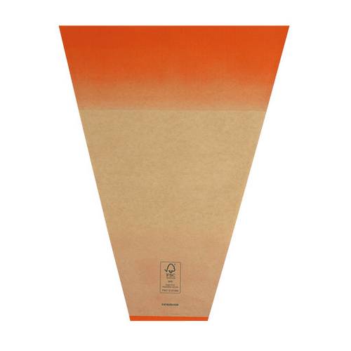 Tüte Kraft Elm orange 50x30x10cm x50