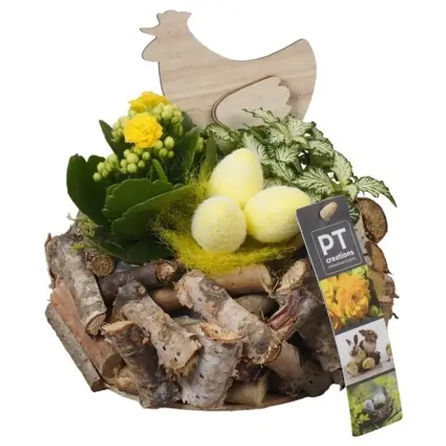 Kal.Arr PTPB6585 Ostern T20 H018