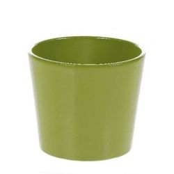 Keramik Orchidee Übertopf lime D13.5cm H12.5cm