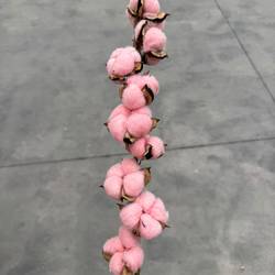 Baumwolle hell rosa L60cm