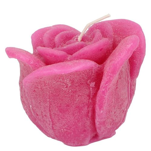 Kerze Rose fuchsia D11cm H09cm