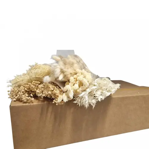Trocken DIY Box assorti gebleicht L55-75cm
