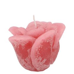 Kerze Rose rosa Blush D08cm H07cm