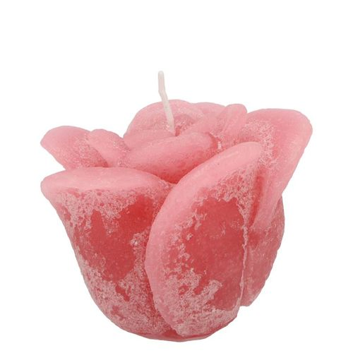 Kerze Rose rosa Blush D08cm H07cm