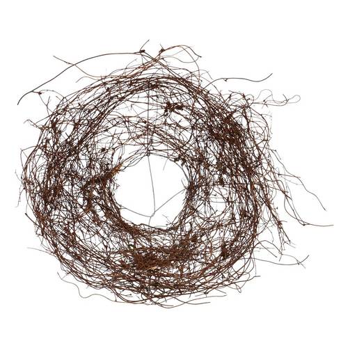 Strausshalter Mühlenbeckia D20cm