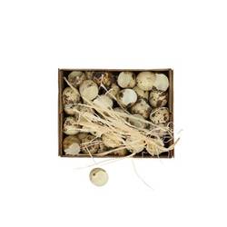 Wachtelei Schale natur D02cm H03cm 60st