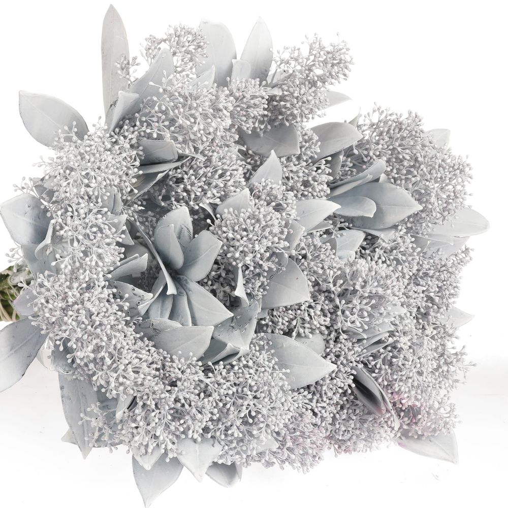 Skimmia weiss gefärbt 40cm