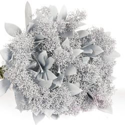 Skimmia weiss gefärbt 40cm