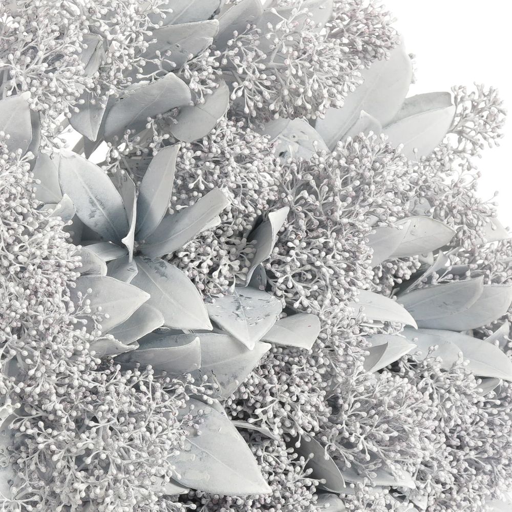 Skimmia weiss gefärbt 40cm