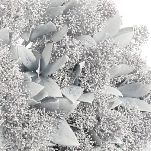 Skimmia weiss gefärbt 40cm