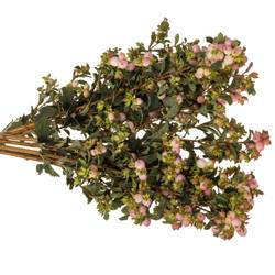 Schneebeere rosa Mag pink falls 50cm