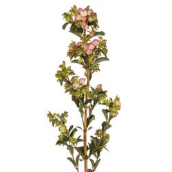 Schneebeere rosa Mag pink falls 50cm